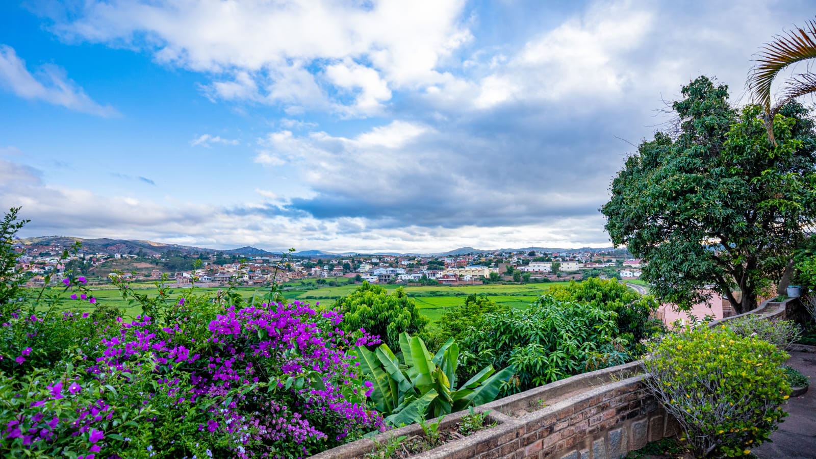 Manga Blue Guest House